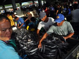 Gensan fish landing continues to grow