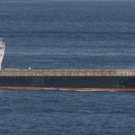 Who owns the 47,000 bags of rice from Vietnam?