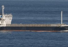 Who owns the 47,000 bags of rice from Vietnam?